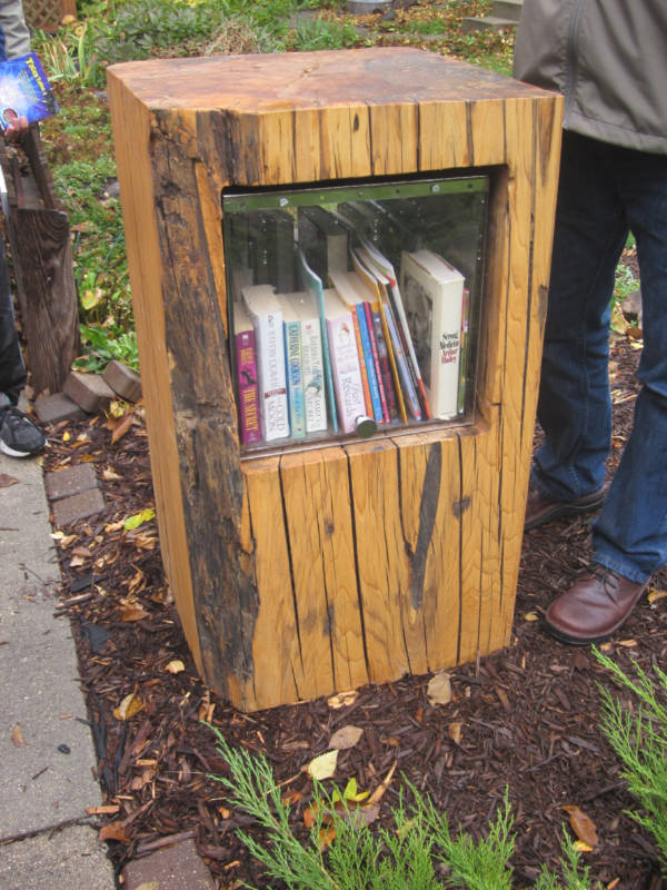 Little Free Library contained within the stump of an elm tree