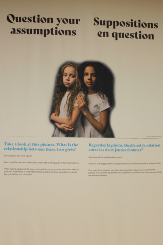 Museum exhibit showing two girls, one white one black, with the title Question Your Assumptions