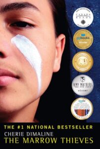 Cover of The Marrow Thieves by Cherie Demaline